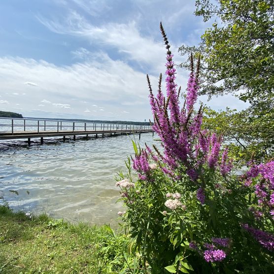 Wasserwanderrastplatz Diensdorf